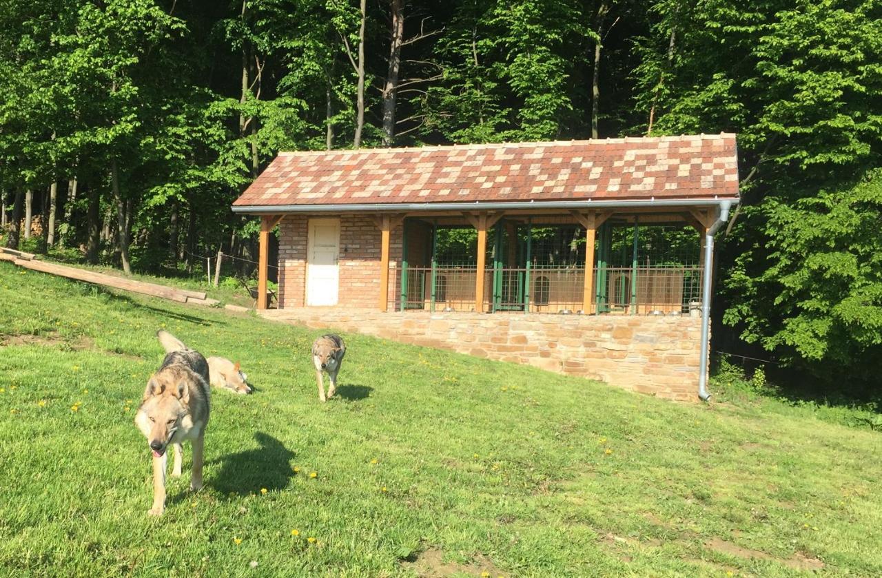 Chata Koniaren Villa Pavlovce Dış mekan fotoğraf