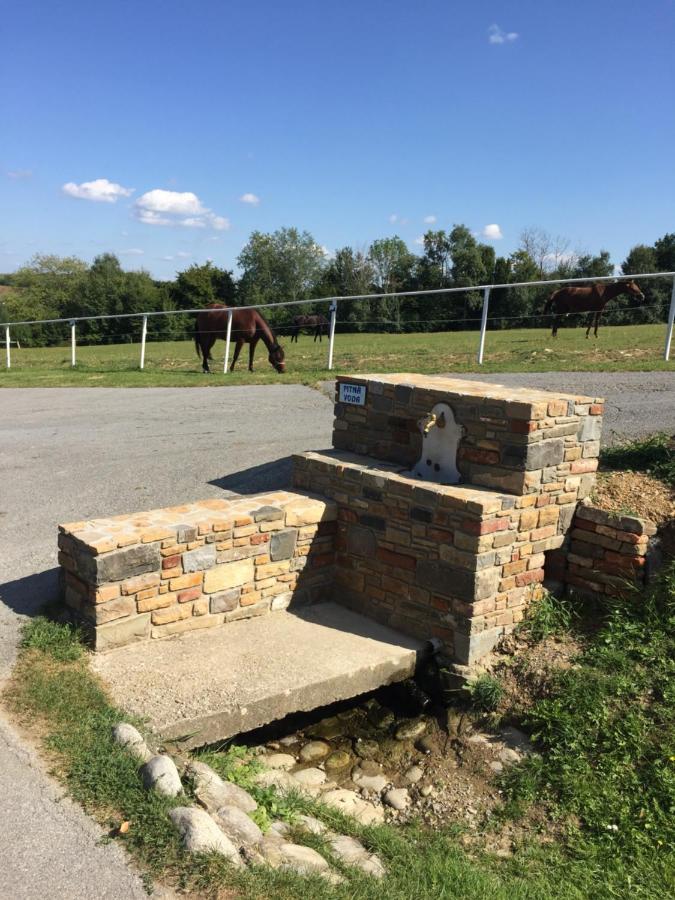 Chata Koniaren Villa Pavlovce Dış mekan fotoğraf
